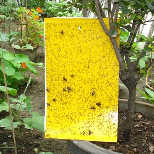 20 Pcs/Set Yellow Double-sided Bug Fly Stickers Glue Board Disposable Sticky Flycatchers Special Sticky Insect Trapping Board