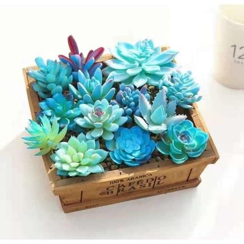 Blue Succulents Cactus Artificial Flower Bonsai Plants Simulation Succulent Plant Flowers DIY Home Garden Decoration Fake flower