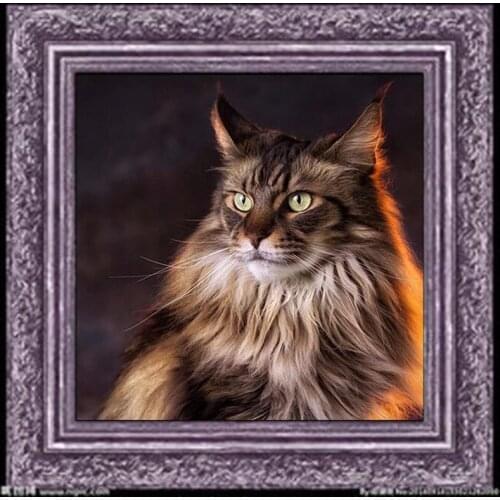 Diamond Embroidery Diy Diamond Painting Cross Stitch Kits Diamond Mosaic Cat Full Square Diamond Embroidery AD062