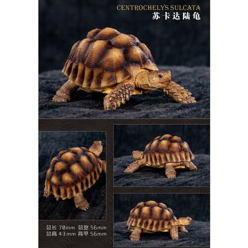 About 10cm Mini Turtle Statue Toy Model Prehistoric Simulation Wild Animal Collection Decoration Toy Gift Ornaments