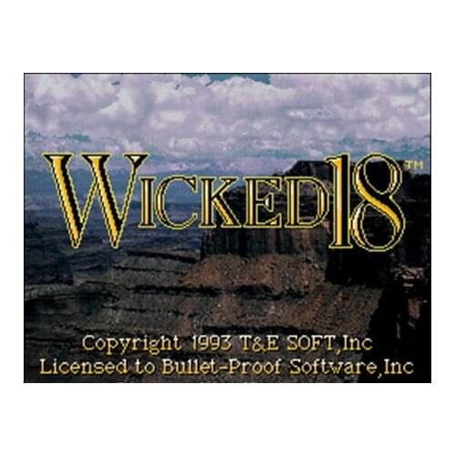 Wicked 18 Golf NTSC Version 16 Bit 46 Pin Big Gray Game Card For USA Game Players