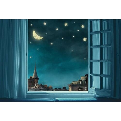 VinylBDS Photo Background Fondos Fotograficos Infantiles Blue Night Sky Photo Kids Room Windows Backdrop Cartoon City Backdrop