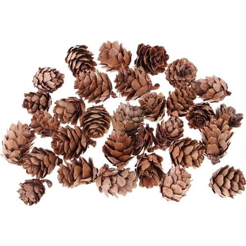 30Pcs Crafts Accessory Holiday Embellishments Natural Pine Cones For Accents DIY Chirstmas Tree Toppers Decoration Ornament