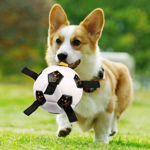 2021 New Toy Soccer Ball Toys For Puppy Large Dogs Outdoor Training Interactive Pet Bite Chew Dog Toy Soccer Football Toys