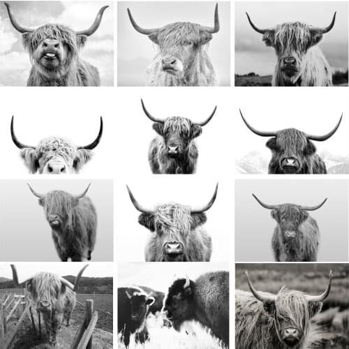 Nordic Highland Cattle Cow Print Wall Art Decoration Canvas Poster Animal Canvas Painting Picture for Living Room Home Decor