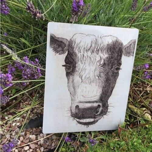 Cows Head Vintage Advertising Metal Tin Sign Wall Plaque Farm Sign