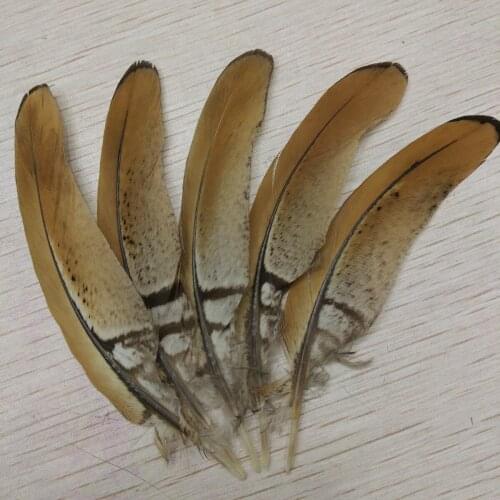 Wholesale Beautiful 500pcs Natural Copper Tail Chicken Feathers 4-6inch/10-15cm Stage Performances Craft Making Decoration