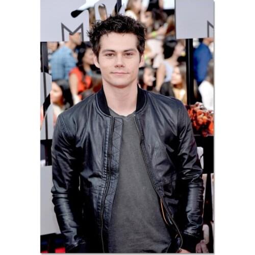 Poster Custom Dylan O’Brien Canvas Poster Art Home Decoration Cloth Fabric Wall Poster Print Silk Fabric 30X45cm40X60cm