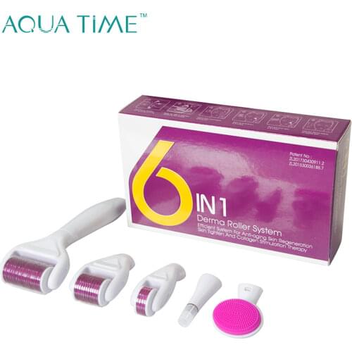 4 in 1 Microneedle Derma Roller Kit for Face and Body Skin Rejuvenation Remove Scars Skin Care Micro Needle Therapy System