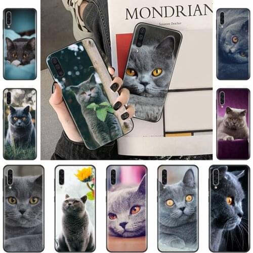 Webbedepp British Shorthair cat Phone Case For Samsung galaxy A S note 10 7 8 9 20 30 31 40 50 51 70 71 21 s ultra plus