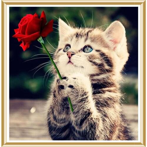 5D DIY Diamond Painting Animal Diamond Embroidery Cat Square Rhinestone Mosaic Picture Cross Stitch Kit Home Decoration Gift