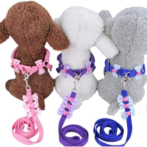 Autumn Pet Dog Harness Nylon Dog Collar Leash Cute Basic Leashes Rope for Chihuahua Small Dog Pet Supplies Pet Accessories