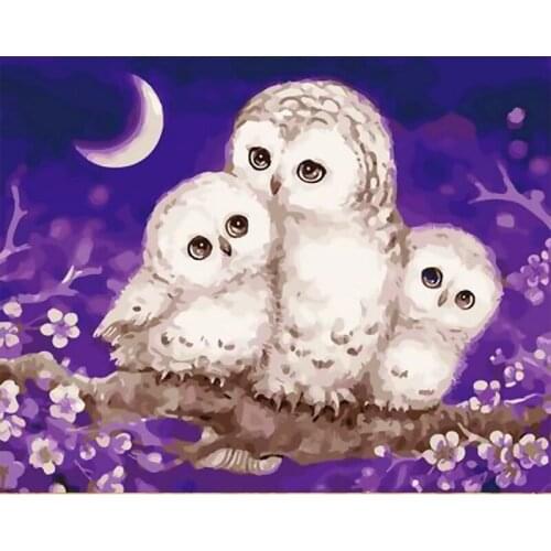 Picture By Numbers Owl Gift Home Decor Handpainted Wall Art Painting By Number Animal Drawing Canvas Acrylic