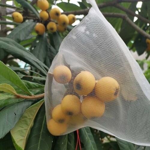 Vegetable Fruit Protect Net Bag Garden Plant Mesh Anti Insect Fly Bird Drawstring Nylon Net Bag Plant Covers