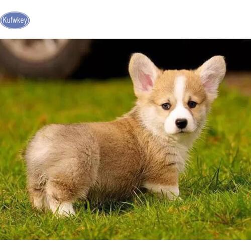 DIY Diamond Embroidery,5d Diamond Painting Pembroke Welsh Corgi Dog Cut dog,Cross Stitch,3D,Diamond Mosaic,Needlework,decor,gift