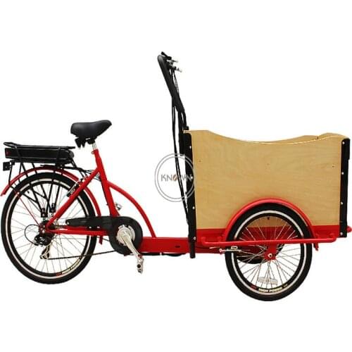 Electric Cargo Bike for Carry Children Home Use Food Delivery Tricycle Street Vending Cart for Sale