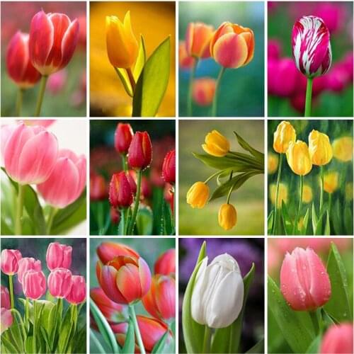 DIY Flower 5D Diamond Painting Full Square Drill Diamond Embroidery Cross Stitch Kit Rose Resin Mosaic Home Decor Wall Art Gift