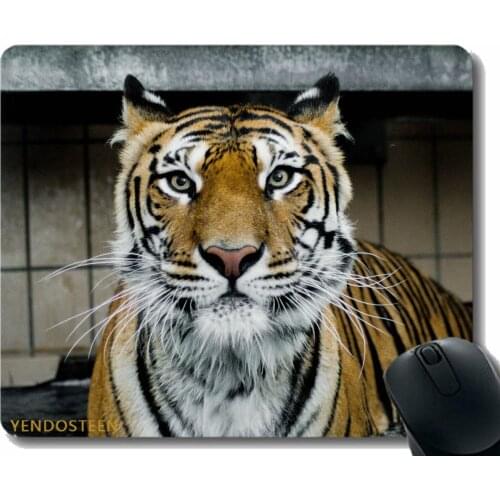 Gaming Mouse Pad Custom,Tiger Muzzle Predator Big Cat Look 116502 Comfortable Mouse Mat For Gaming And Office