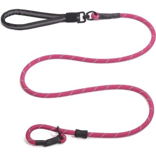 Pet Dog Leash Reflective Explosion-Proof Punch Nylon Braid Leashes Running Walk Training Leash For Large Medium Dogs