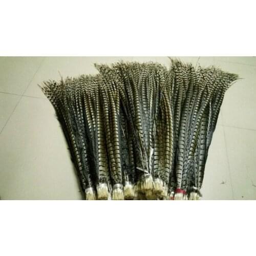 Wholesale perfect 100pcs original natural Lady Amherst Pheasant Feather 32-36inch/80-90cm Decorative diy Performance Accessories