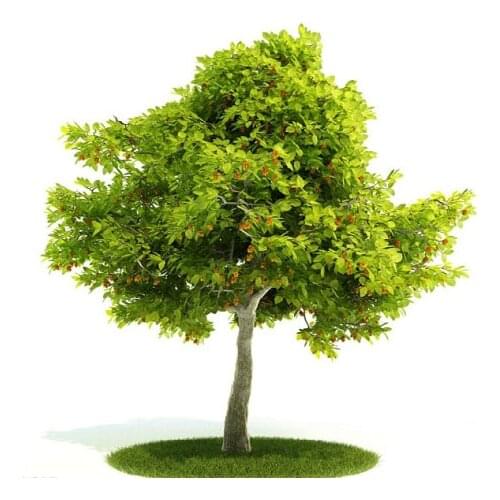 Shipping fee difference or extra parts link to pay