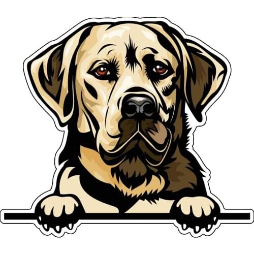 Personality Lifelike Labrador Retriever Dog Car Sticker Styling Motorcycles for E46 Decal Decorative PVC Vinyl Cover Scratches