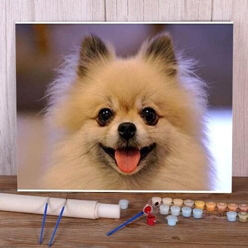 Animal Dog Pomeranian Paint By Numbers Package Oil Paints 50*70 Canvas Painting New Design Kids Handicraft Handiwork Drawing