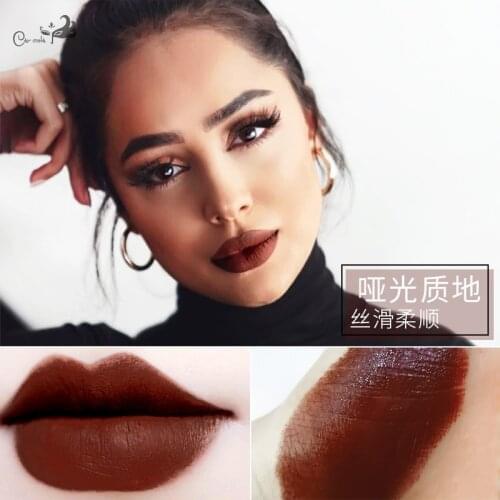 Brown lipstick gloss chocolate lipstick coffee milk tea Polaris sister retro lip color