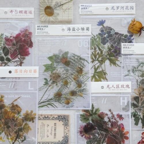 Natural Daisy Clover Sticker Set English Phrases Background Sticker Transparent PET Material Flowers Leaves Plants Deco Stickers