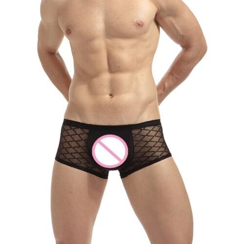 Man Breathable Mesh Boxers New Summer Sexy Transparent Underwear Slip Homme Pouch U Convex Men Lingerie Boxers Silk Mens Shorts