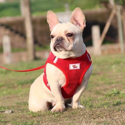 CDDMPET Harnesses