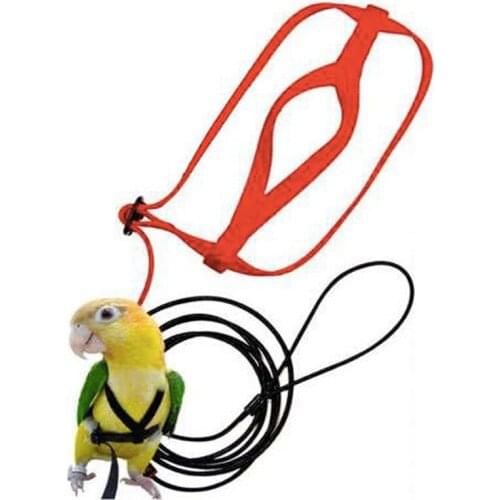 Parrot Bird Leash Anti-bite Flying Training Rope Parrot Bird Pet Leash Kits Ultralight Harness Leash Soft Portable Pet Plaything
