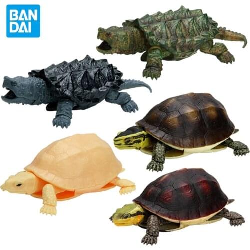 Bandai Figure Gacha Simulated Creature Series04 Tortoise Model Anime Characters Japanese Animation Collectible Childrens Toys