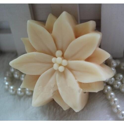 Christmas leaf fruit Shaped soap mold silicone cake mold fondant chocolate mold handmade soap mold