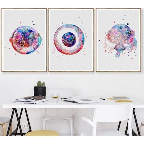 Canvas Painting Prints Eye Anatomy Medical Posters Optometrist Gift Ophthalmology Medicine Wall Art Pictures Clinic Wall Decor