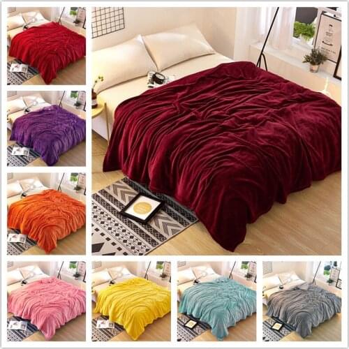 Solid Color Fleece Blanket Home Soft Blankets for Beds Sherpa Individual Double People Blanket