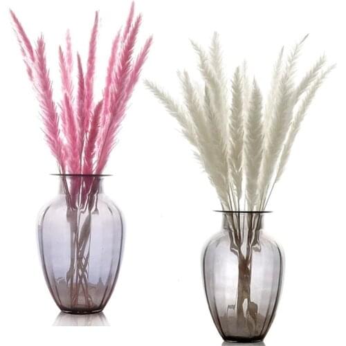 15pcs 3 Color Available Raw Pink White Small Reed Natural Dired Flowers Bulrush Phragmites Pampas Grass Wedding Party Home Decor