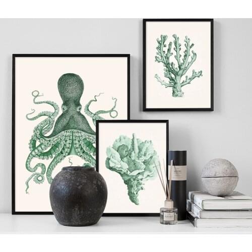 Green Octopus Conch Coral Fossil Sketch Home Art Canvas Painting Nordic Posters And Prints Wall Pictures For Living Room Decor