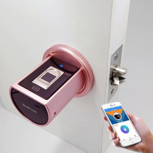 Europa smart fingerprint door lock deadbolt door keypad electric deadbolt lock