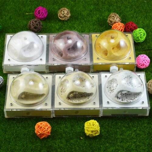 Creative Ant Nest Acrylic Plaster Moisturizing Nest Ant Feeding Nest Reptile Terrarium