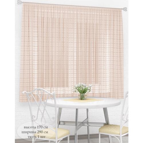 Параскева Tulle On The Windows