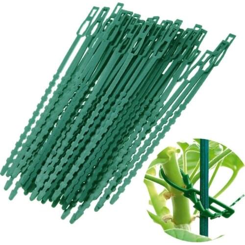 50pcsPlastic Multipurpose Fish Bone Spur Green Garden Banding Supports Plant Clips To Tie Branches Garden Greenhouse Fixing Tool