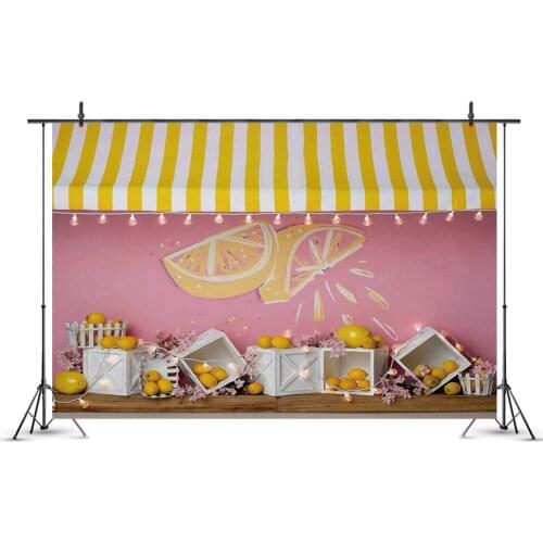 Pink Lemon Fruit Store Photography Background Photo Booth Studio Decor