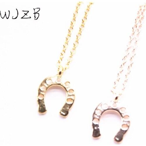 Trendy horseshoe pendant necklace Lovely horseshoe shape necklace of popular animal series for women