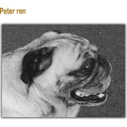 Diy Diamond painting dog cross stitch Animal Square\Round Diamond mosaic dogs Rhinestone Full Diamond embroidery Fur dog picture