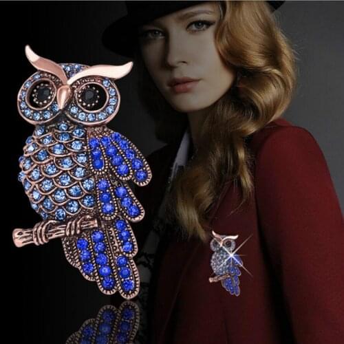 Owl Zinc Alloy Trendy Charming Rhinestone Blue Brooch Spille Donna Badge Christmas Gifts Clothing Accessories