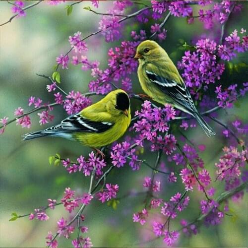 5D DIY Diamond Painting Birds Flower Tree Diamond Embroidery Full Drill Cross Stitch resin Mosaic Home Decor Gift