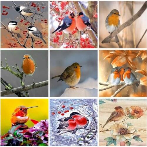 SDOYUNO Paint By Numbers Kits On Canvas Birds DIY Frameless 60x75cm Oil Painting By Numbers Animals Hand Painting Draw Numbers