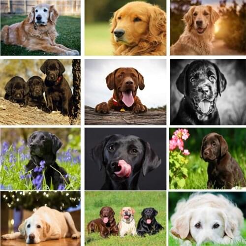 CraftArtGo 5D DIY Diamond Embroidery Dogs Full Square Round Rhinestone Mosaic Painting Cross Stitch Flowers Diamond Art Kit