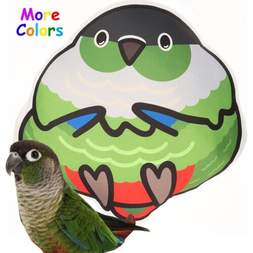 Conure pillow Green Cheek Conure plush Gift cushion Parrot